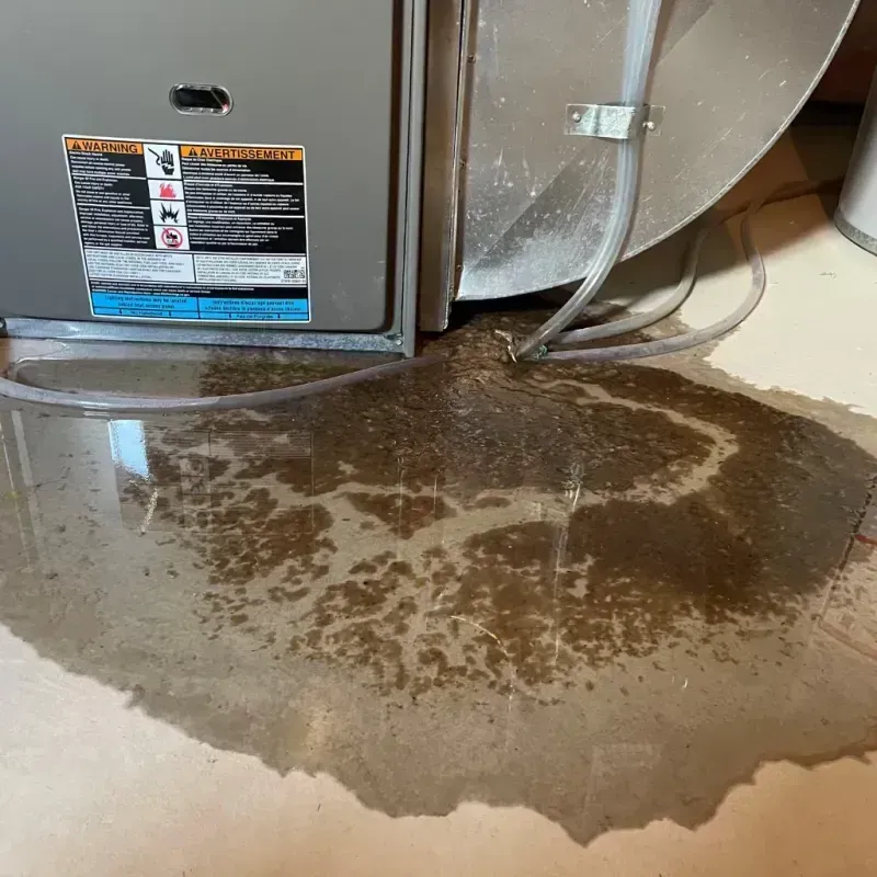 Appliance Leak Cleanup in Southern Shores, NC